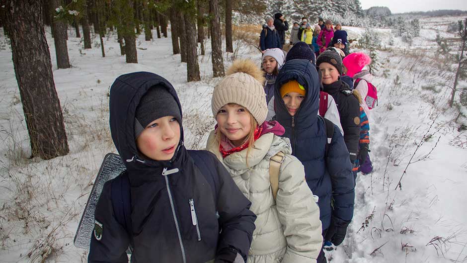 Школьный Поход в Лес