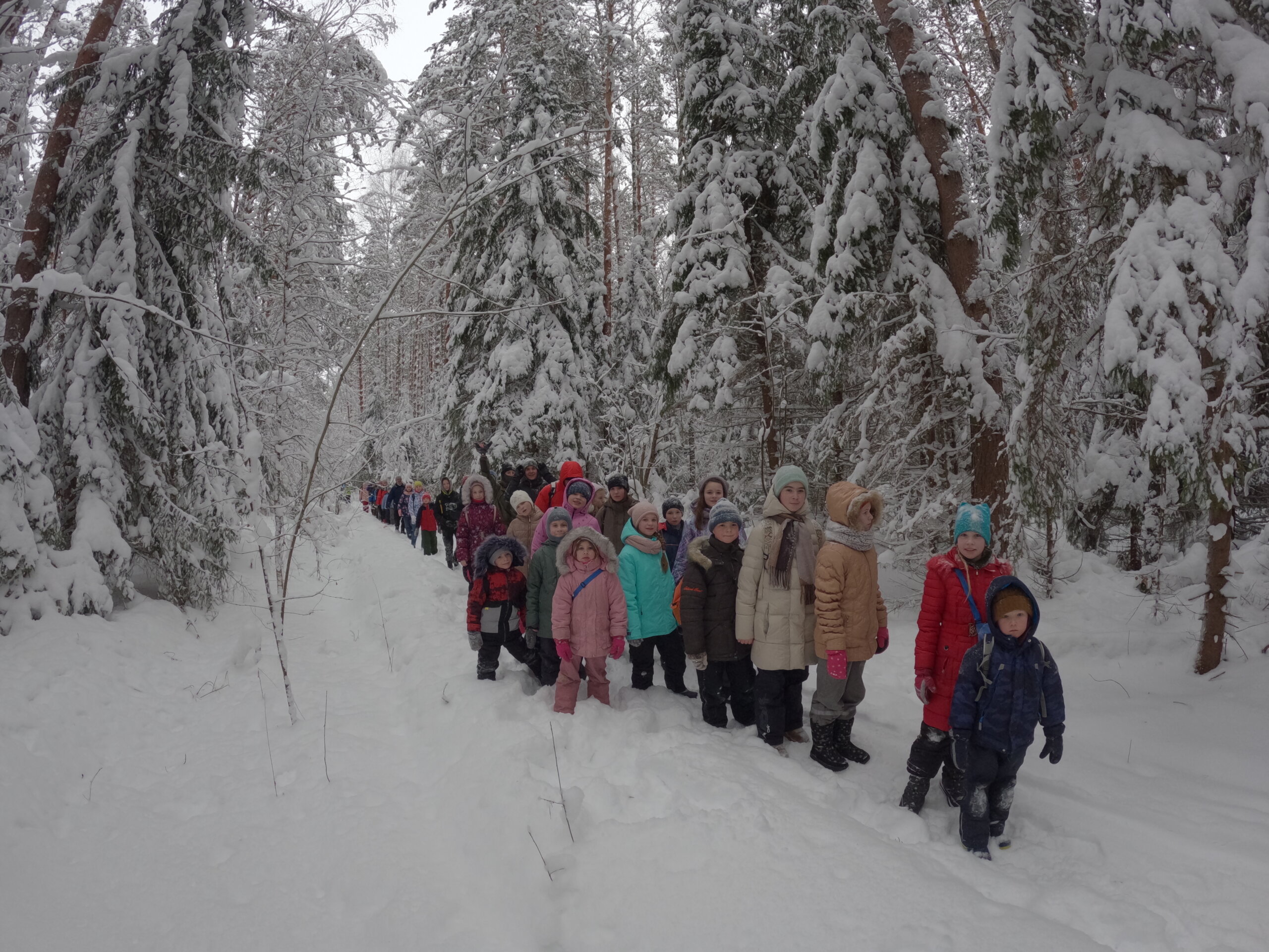 Рождественский поход в Дивеевский лес на поиски сундучков с подарками для детей и родителей
