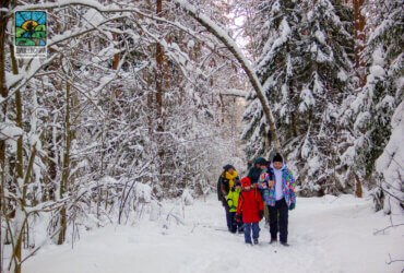 Дивеевская Тропа — пеший туристический маршрут через Дивеевский заповедник