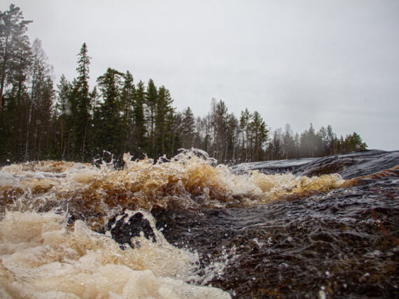 Что такое самосплав и зачем это практиковать?