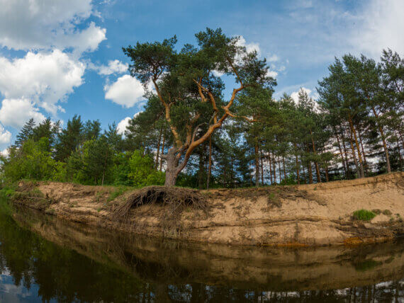 Сплав по реке Клязьма на байдарках и рафтах