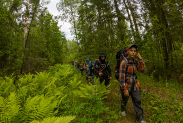 Школьный поход в лес: Готовое приключение для вашего класса!