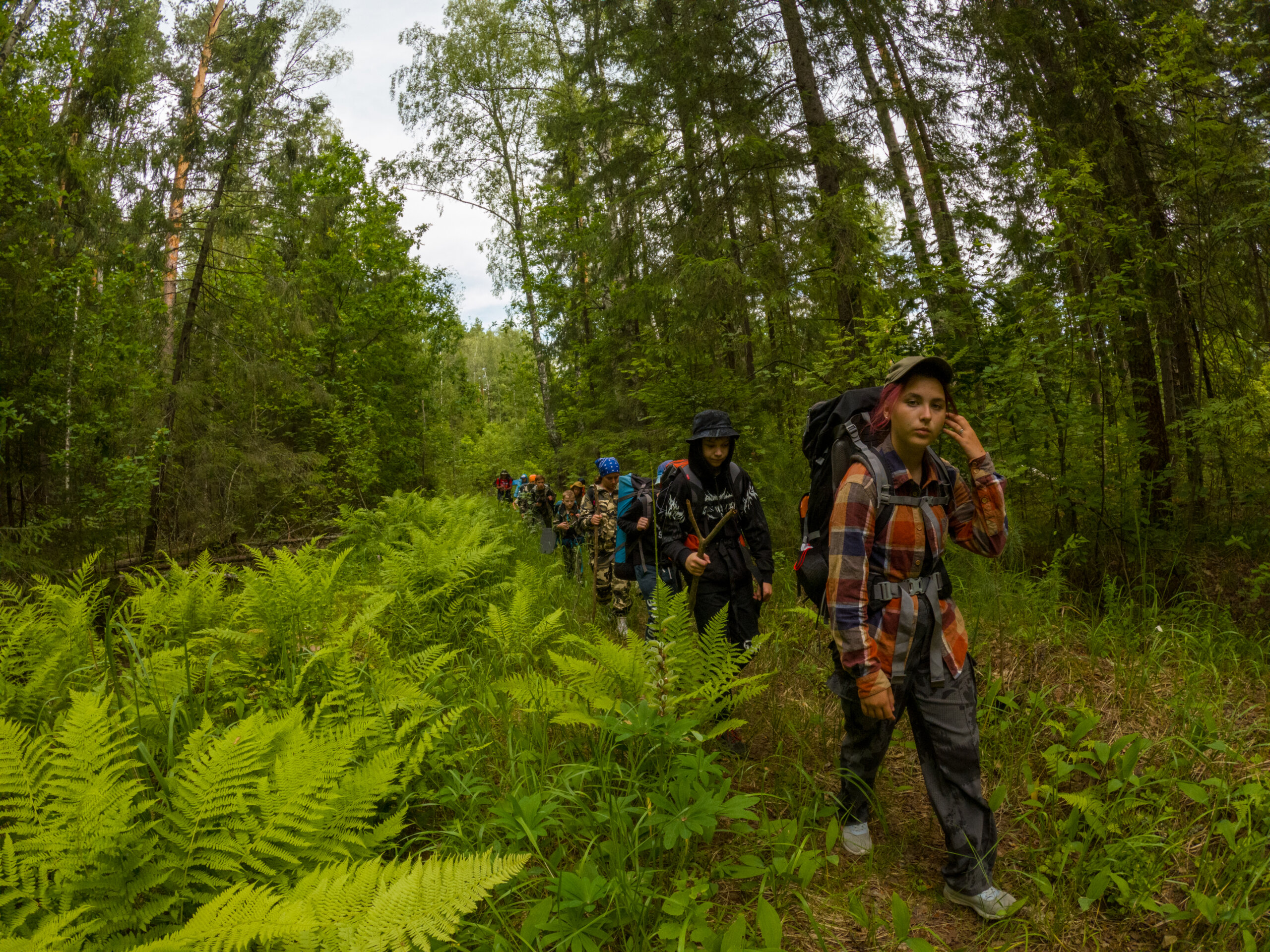 Школьный поход в лес: Готовое приключение для вашего класса!